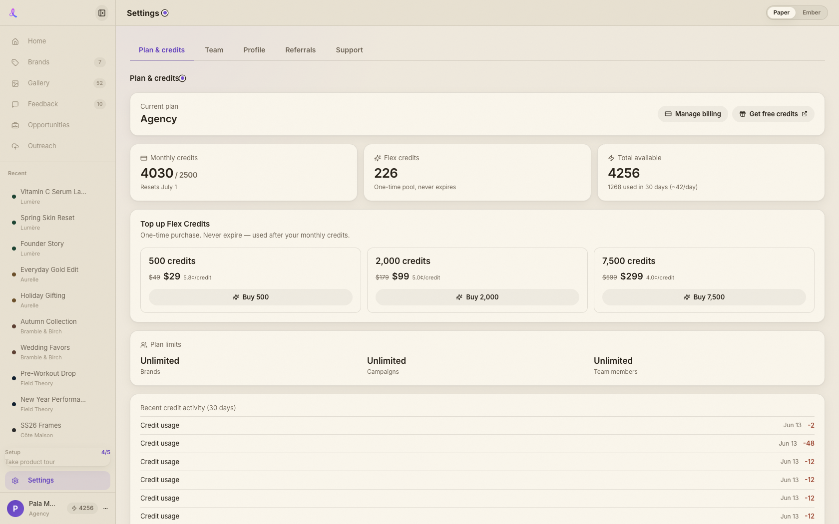 The Dezygn settings page with Plan, Team, Profile, Referrals, and Support tabs